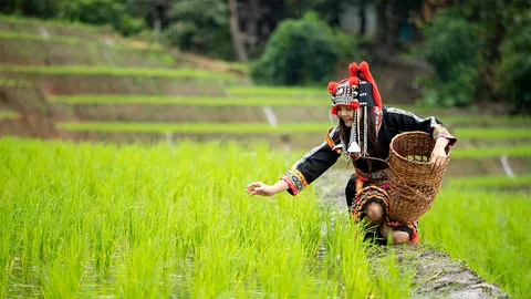 วธ.รุกหนักเพิ่ม GDP ท่องเที่ยวชุมชน
