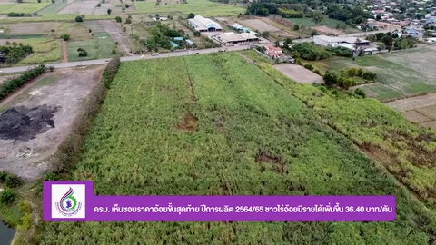 ครม. เห็นชอบราคาอ้อยขั้นสุดท้าย ปีการผลิต 2564/65 ชาวไร่อ้อยมีรายได้เพิ่มขึ้น 36.40 บาท/ตัน