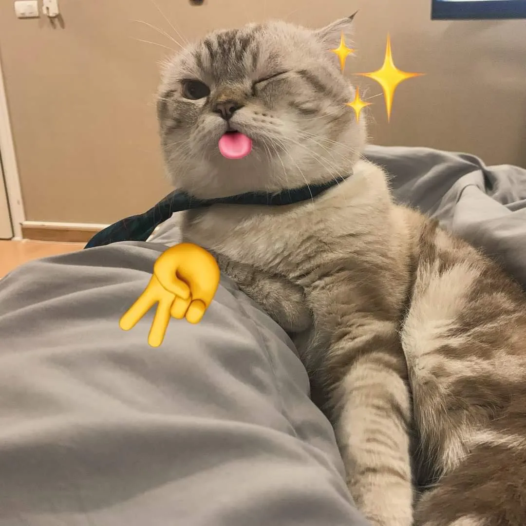 Test ข่าว 1